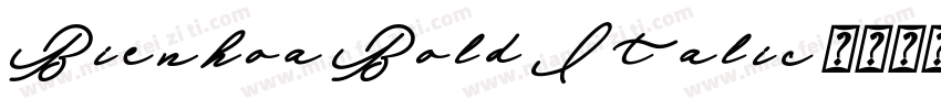 Bienhoa Bold Italic字体转换